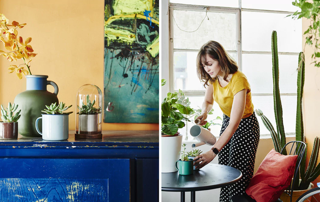 IKEA - Διακοσμήστε το σπίτι σας με φυτά
